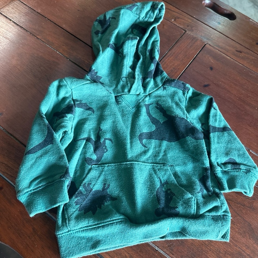 Dinosaur hoodie